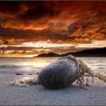 3 Hebridean Sunset.