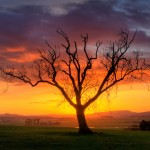 7 Sunrise, Carse of Stirling