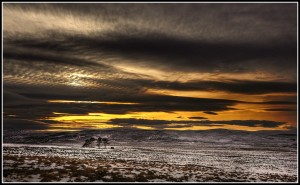 7 Under a Herringbone Sky HDR