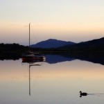 8 Sunset and Swimming Duck 8 Sunset and Swimming Duck