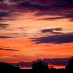 2 dark pastels