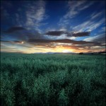 8 Stewart Sunset