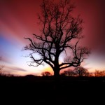 4 The Colours of Dusk 4 The Colours of Dusk