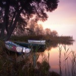 7 Clyde Valley Boats 7 Clyde Valley Boats